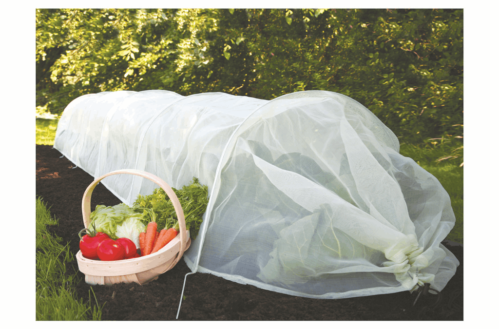 Growers go wild for Haxnicks Micromesh Tunnels
